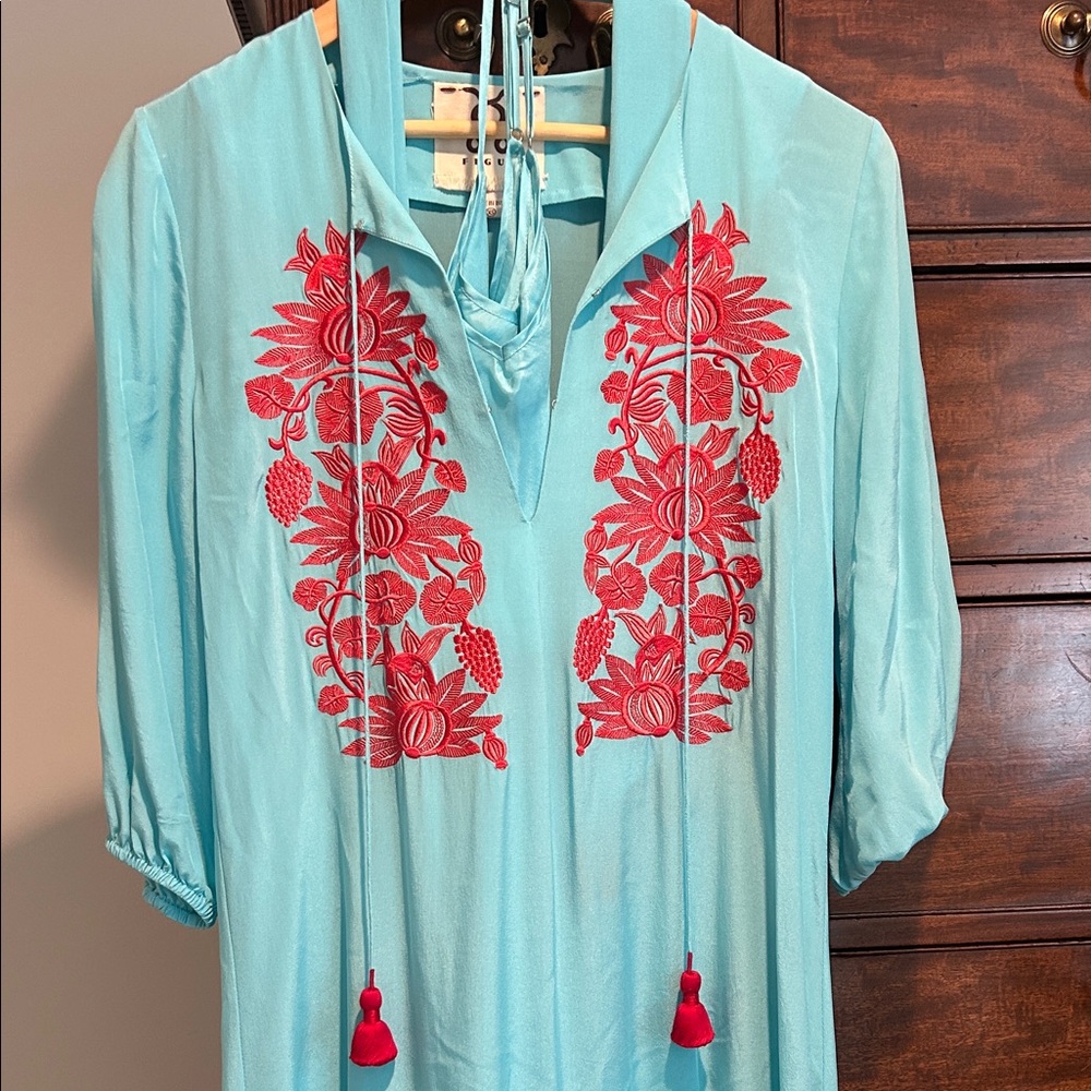Chic Blue and Red Embroidered Dress